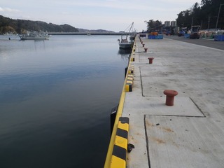 20150408_063牡鹿半島福貴浦