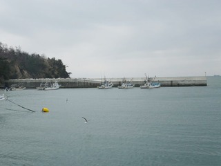 20160309_053牡鹿半島狐崎