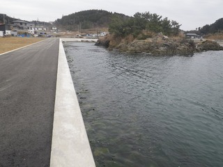20160309_077牡鹿半島表浜