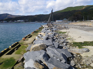 20111116_004女川石浜