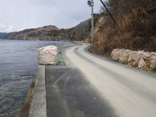 20130220_071牡鹿半島真黒浜