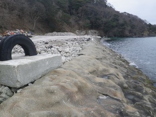 20160309_073牡鹿半島給分浜