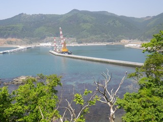 20140528_034牡鹿半島桃浦