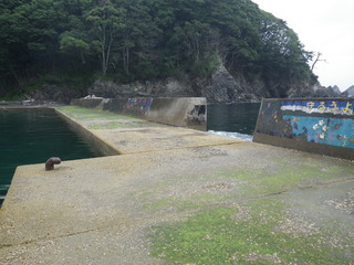 20120725_033旧志津川町南部藤浜