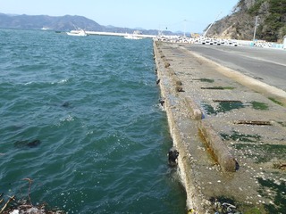 20130404_039女川塚浜