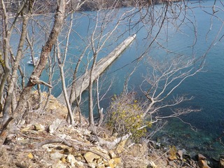 20130220_016牡鹿半島折浜