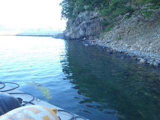 20160719_006牡鹿半島折浜