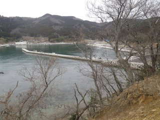 20160309_031牡鹿半島桃浦