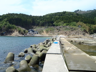 20110608_023牡鹿半島桃浦