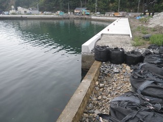 20150901_009牡鹿半島折浜