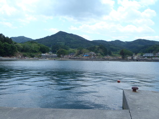 20110525_008旧志津川町南部津ノ宮