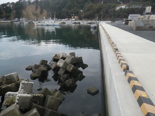 20141105_015牡鹿半島西部鹿立