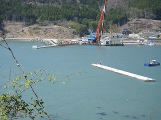 20130425_002牡鹿半島桃浦