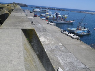 20140806_027雄勝大須