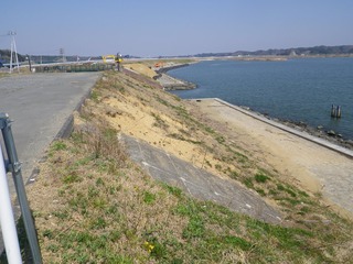 20140424_001鳴瀬川河口