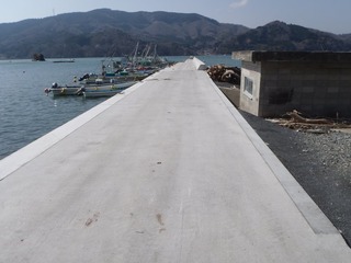 20130404_026女川飯子浜