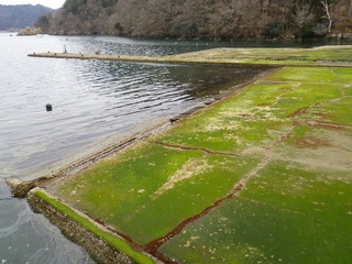 20130227_039雄勝分浜