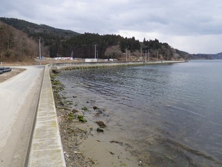 20130220_087牡鹿半島小網倉