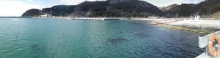 20150204_031牡鹿半島桃浦_stitch