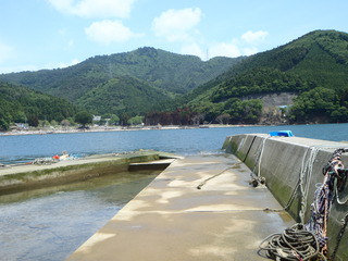 20110608_025牡鹿半島桃浦