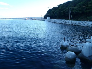 20160719_028牡鹿半島鮎川