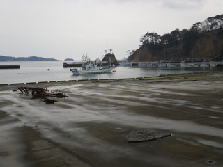 20120328_048牡鹿半島鹿立