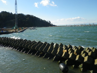 20121121_015牡鹿半島給分浜