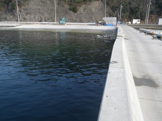 20160308_075女川飯子浜