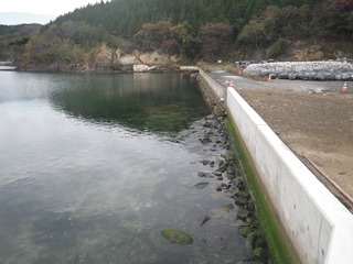 20141105_009牡鹿半島西部荻浜