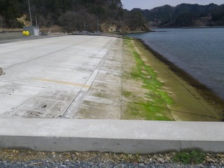 20150408_010牡鹿半島荻浜