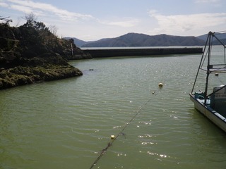 20150409_008十三浜白浜