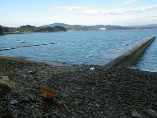 20111109_015旧志津川町南部坂本