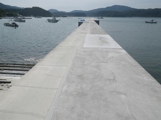 20150702_014旧志津川町南部波伝谷