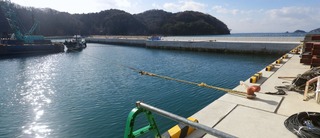 20150204_039牡鹿半島月浦_stitch