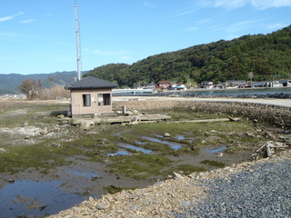 20111019_016長面地区