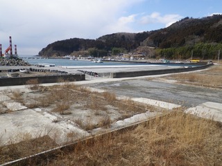 20130220_039牡鹿半島桃浦