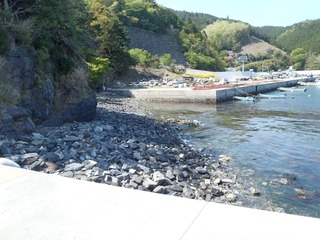 20190508_004牡鹿半島折浜