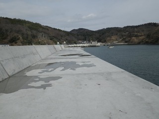 20150408_045牡鹿半島狐崎