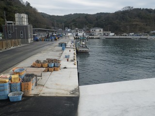 20141105_033牡鹿半島西部狐崎