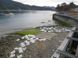 20111206_024雄勝唐桑