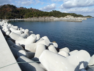 20111210_012宮戸島室浜