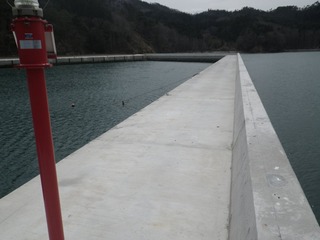 20150408_019牡鹿半島小積浜