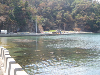 20110608_058牡鹿半島真黒浜