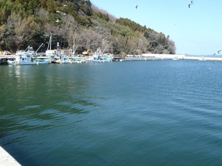 20130404_007女川横浦