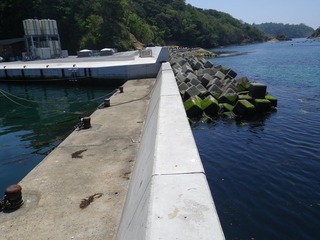 20140528_088牡鹿半島給分浜