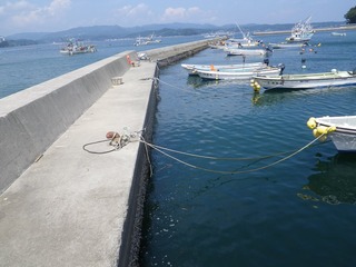 20130821_010旧志津川町南部波伝谷