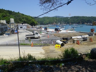 20140528_071牡鹿半島鹿立