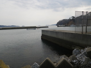 20120328_047牡鹿半島鹿立