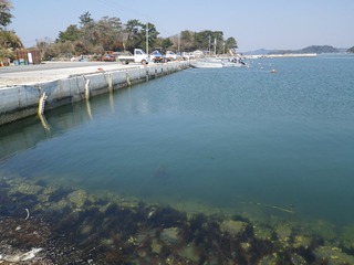 20140424_009宮戸島里浜