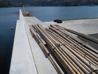 20140424_006宮戸島里浜